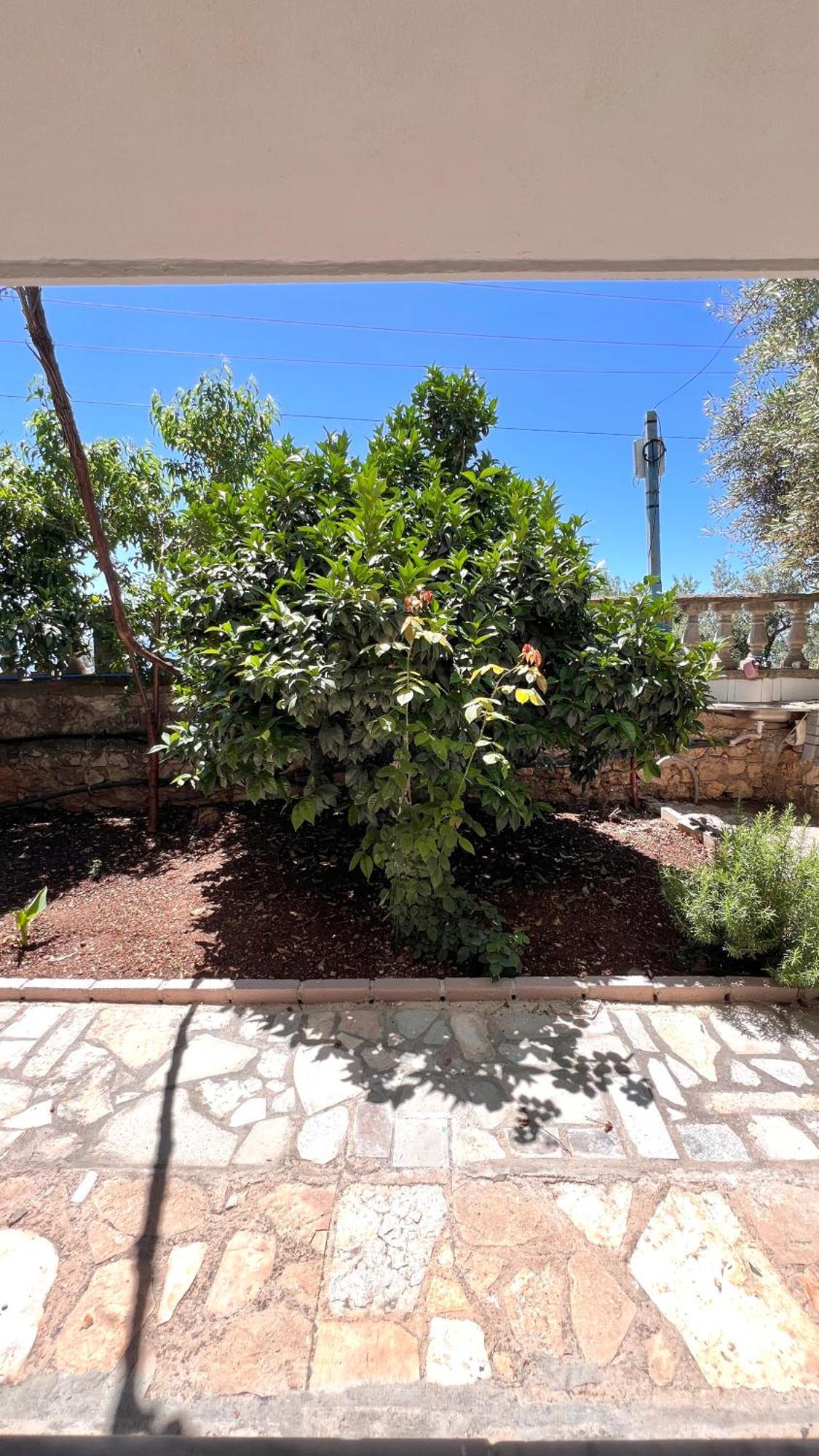 Petra Oliva Apartment Dhërmi Εξωτερικό φωτογραφία